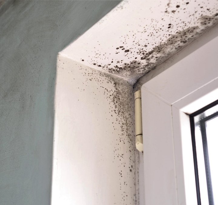 How To Prevent Mould
