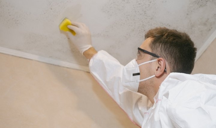 Scrubbed With Love - The Mould Removal Specialist