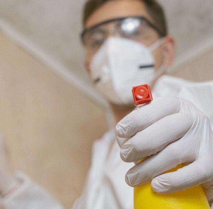 Signs You Might Have a Mould Problem