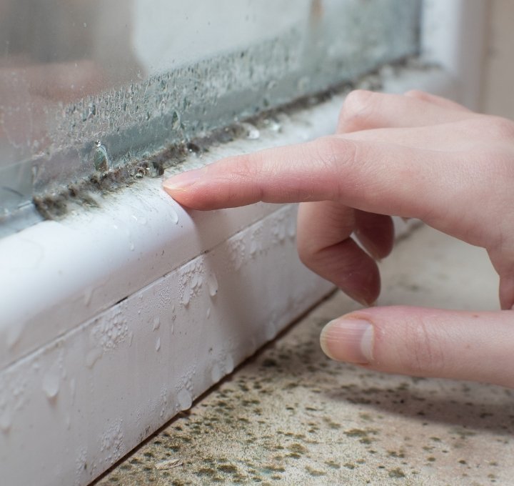 The Mould Removal Process