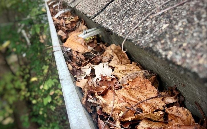 Can I clean my gutters myself