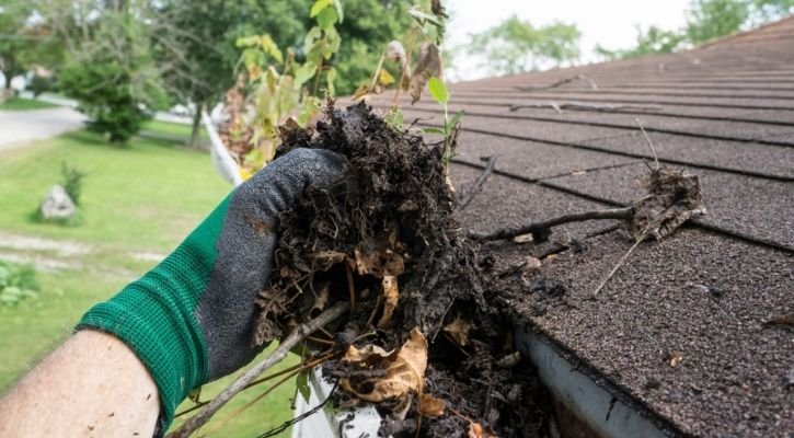 Gutter cleaning for homes and businesses