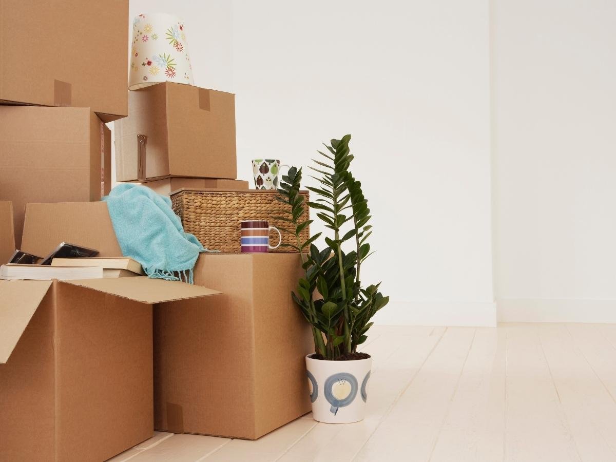 House Clearance Service